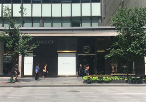 gucci bloor street west.